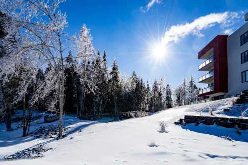 website template image